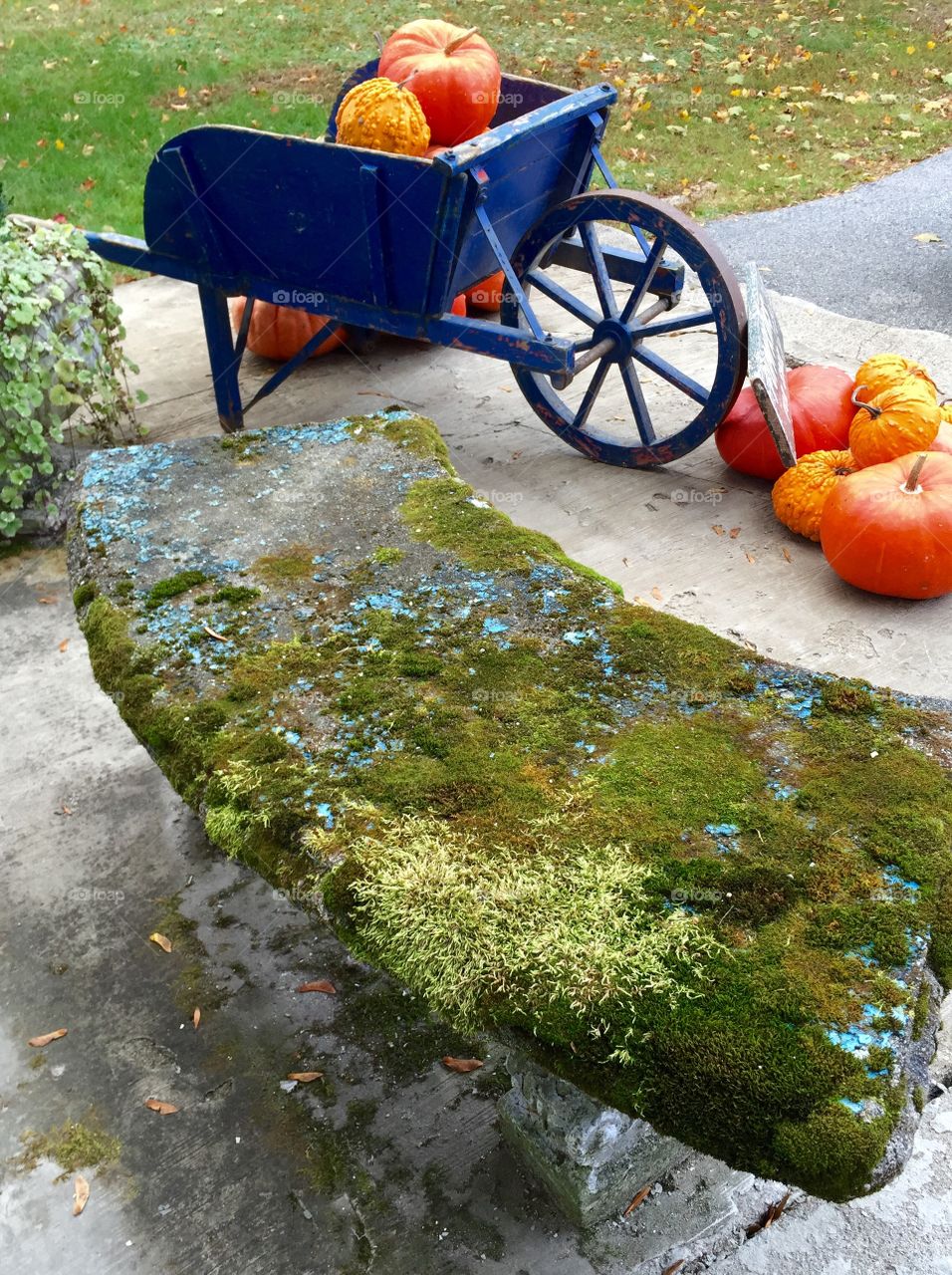 Vintage cart of orange pumpkins with mossy bench