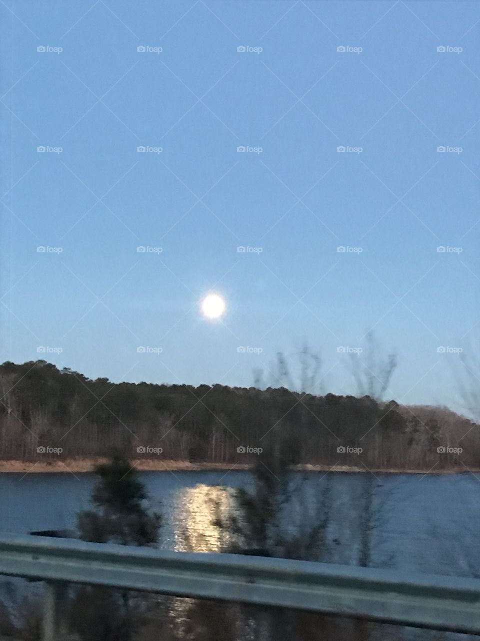 Wolf Moon at dawn 