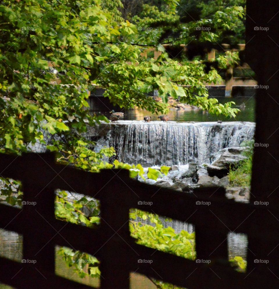 Fence and waterfall