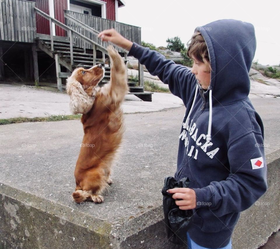 Cocker with a boy