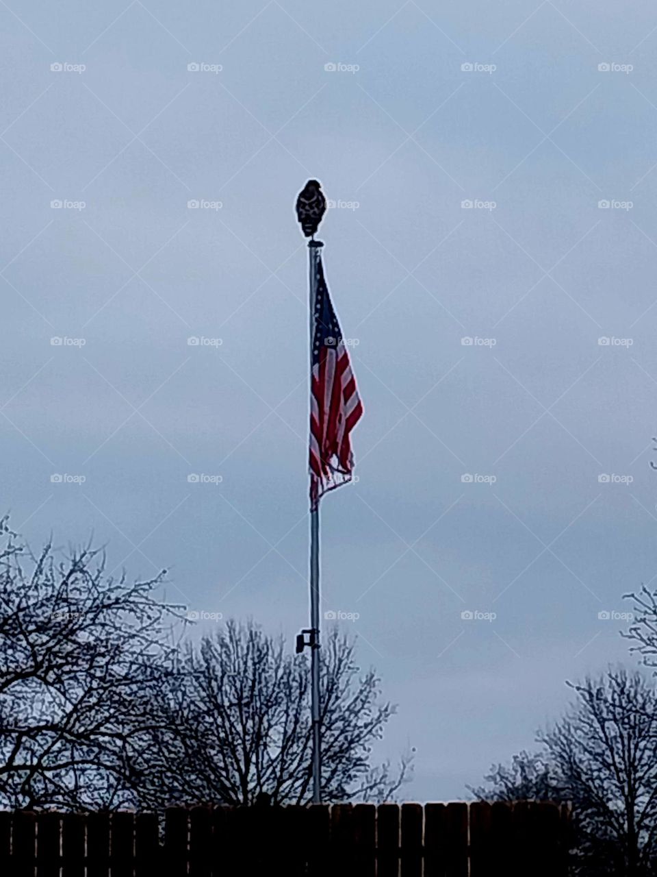 Patriotic Hawk