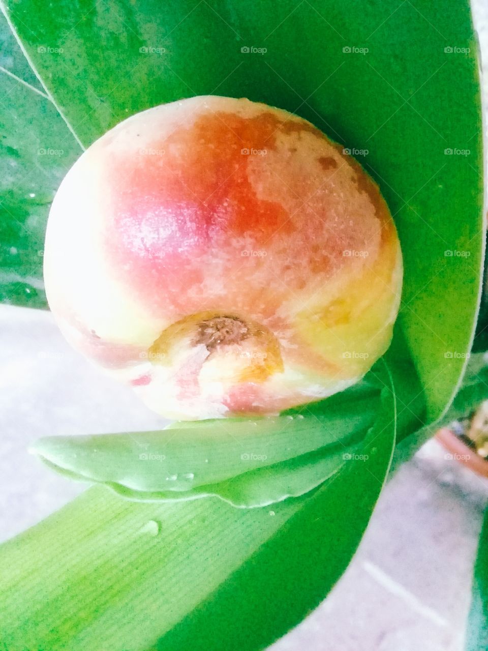 fig peach