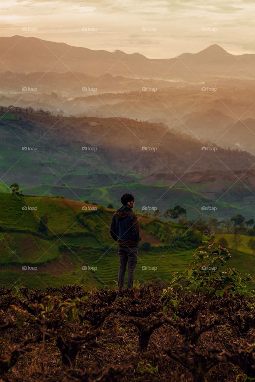 the man is standing facing the view of the tea hills at sunrise