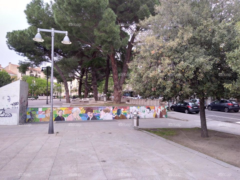 Editors' Choice - Photo of the Week