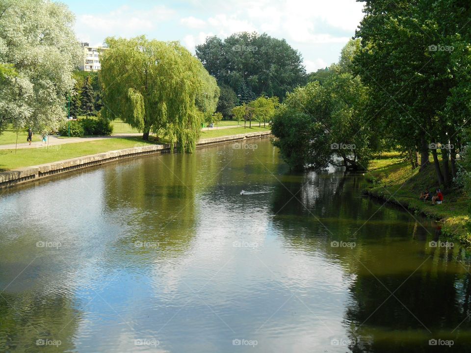 River, Water, Tree, Reflection, Lake