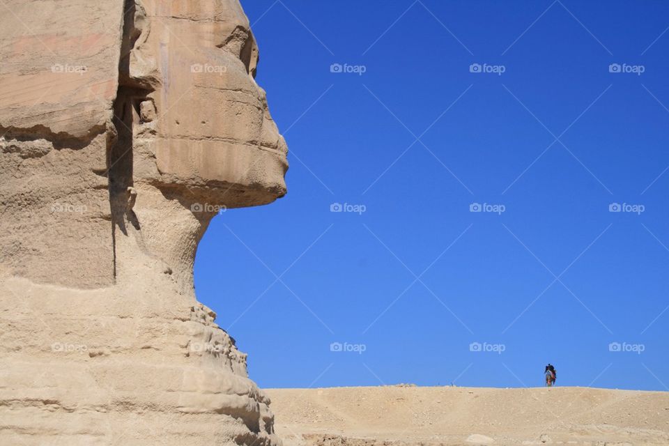 The Sphinx