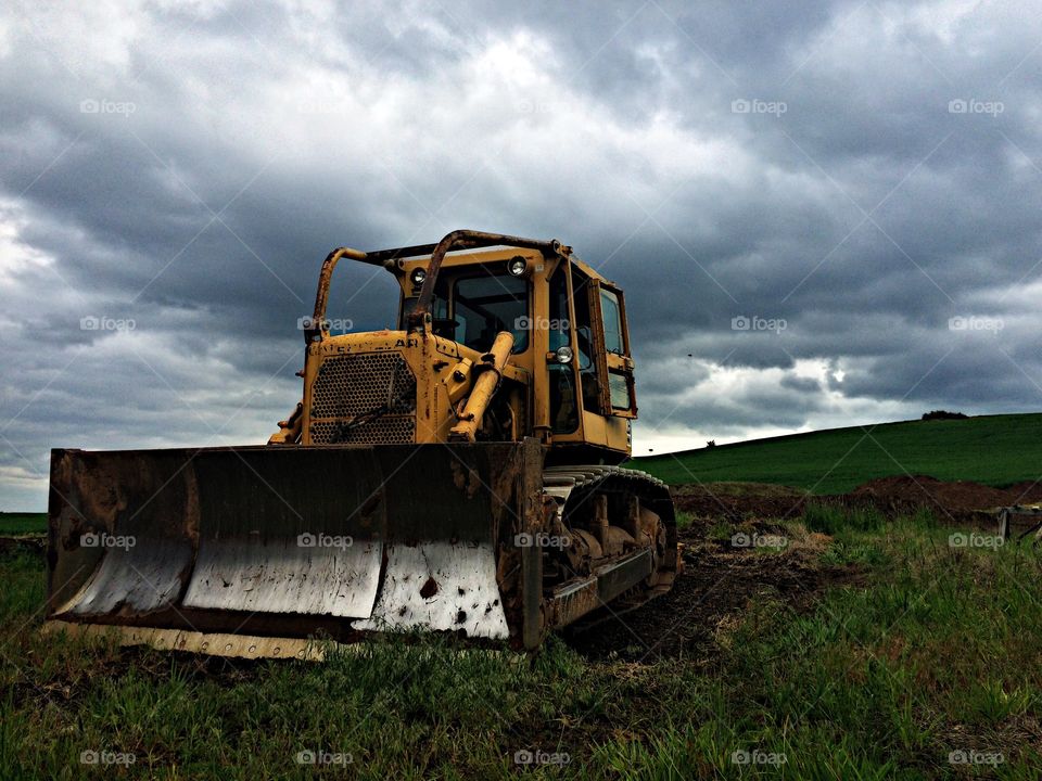 Cat. Cat bulldozer