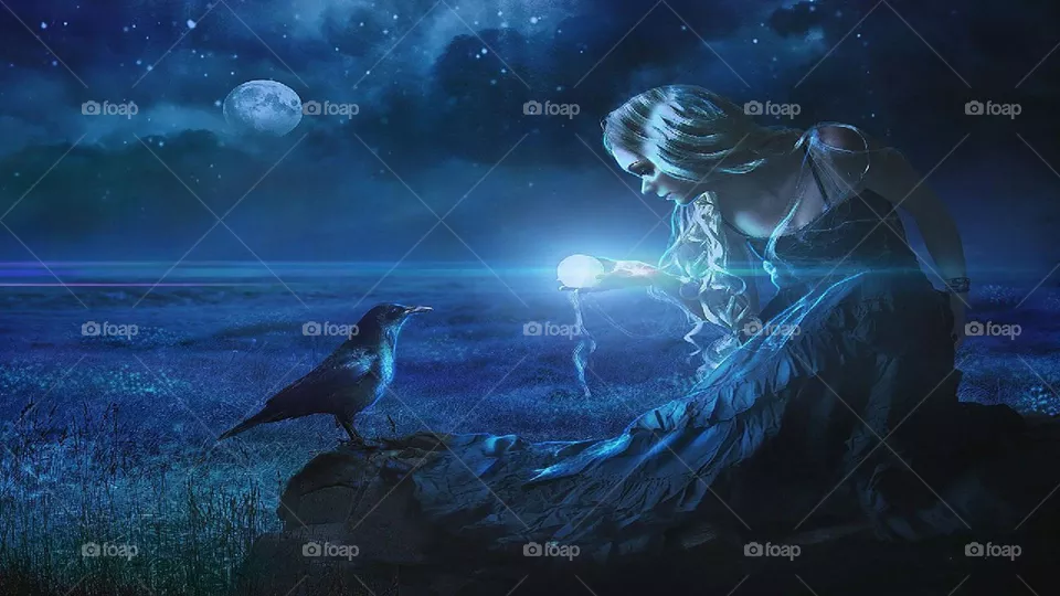 bird night
