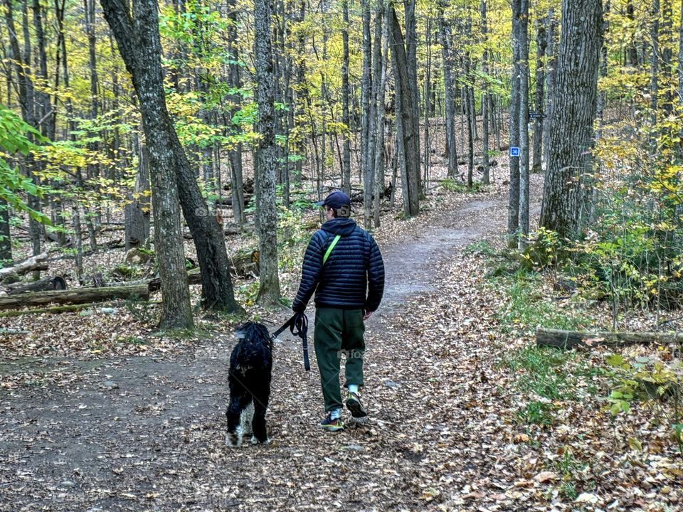 A walk in the fall woods with your best friend.