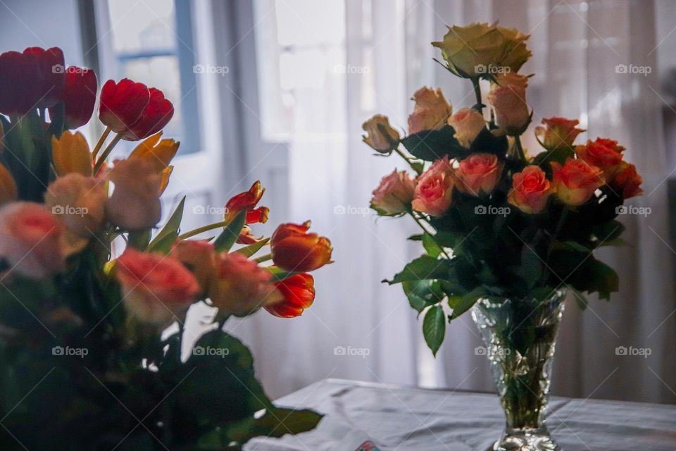 Pink roses in a vase