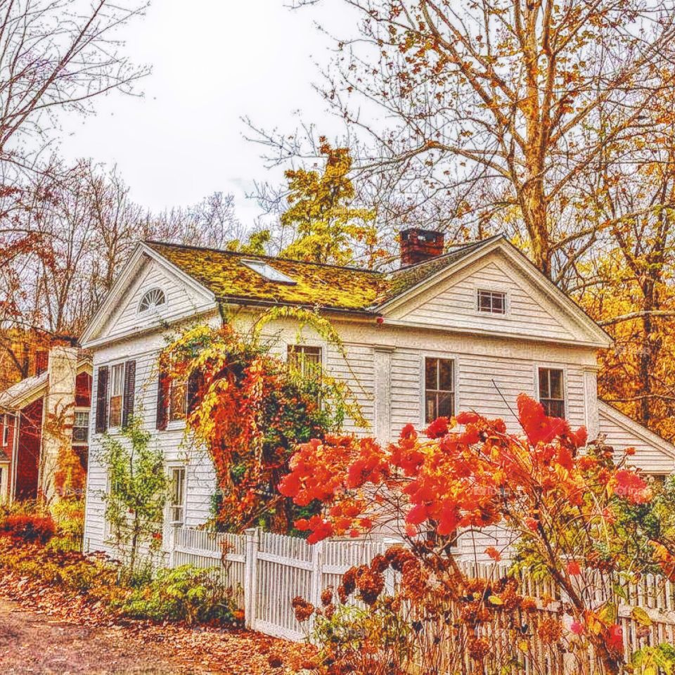 Cornwall, CT. Autumnal colour, moss roofed house