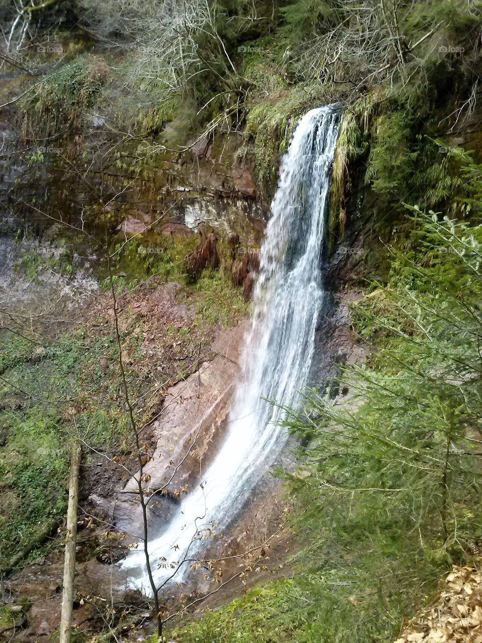 Waterfall in Schwarzwald
