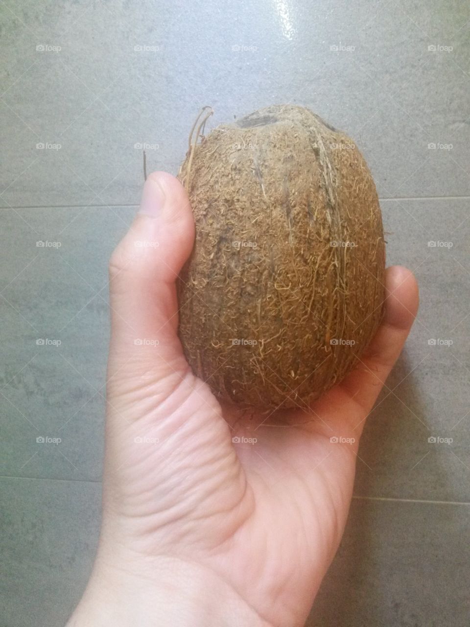 fresh coconut held by a hand