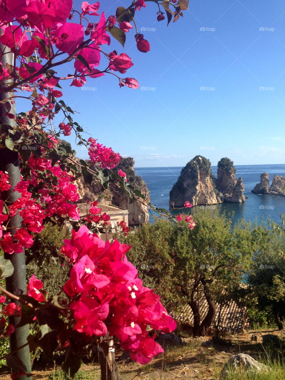 Tonnara di Scopello Trapani Sicilia