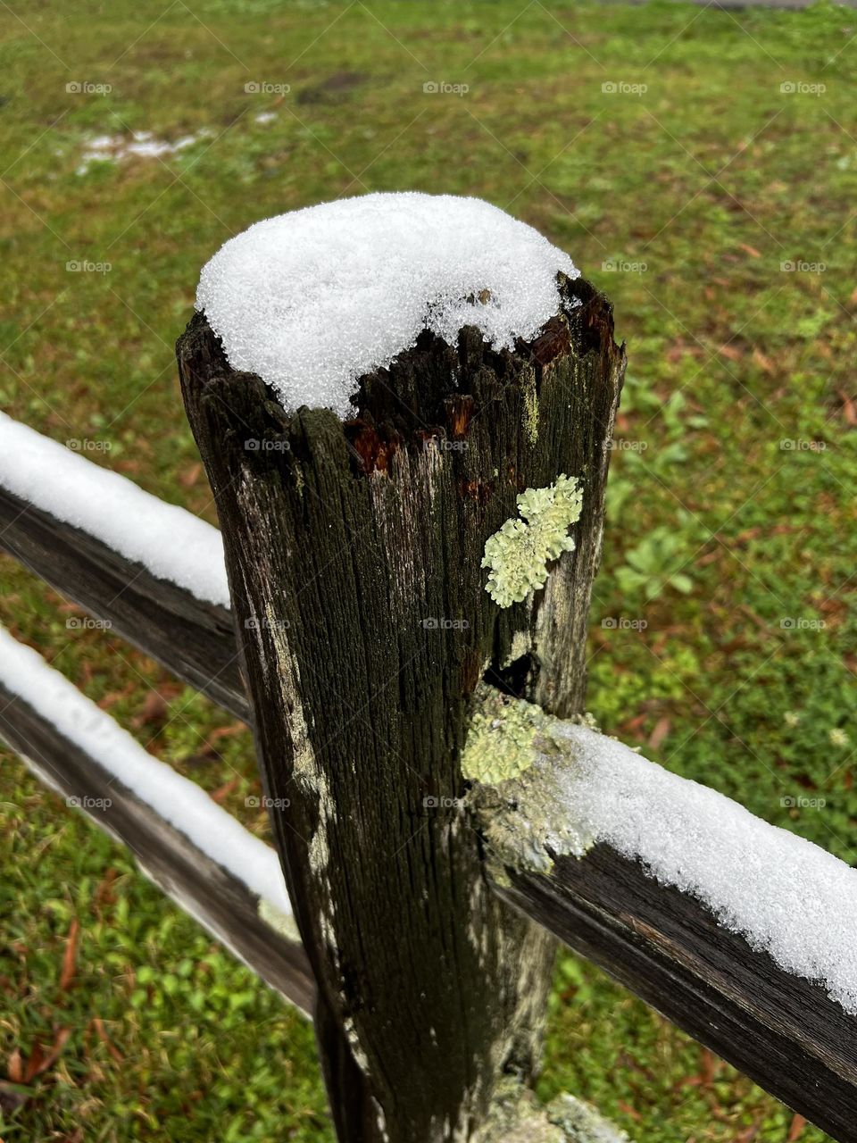 Light pile of frosty snow highlighted a split rail fence during an early winter frost