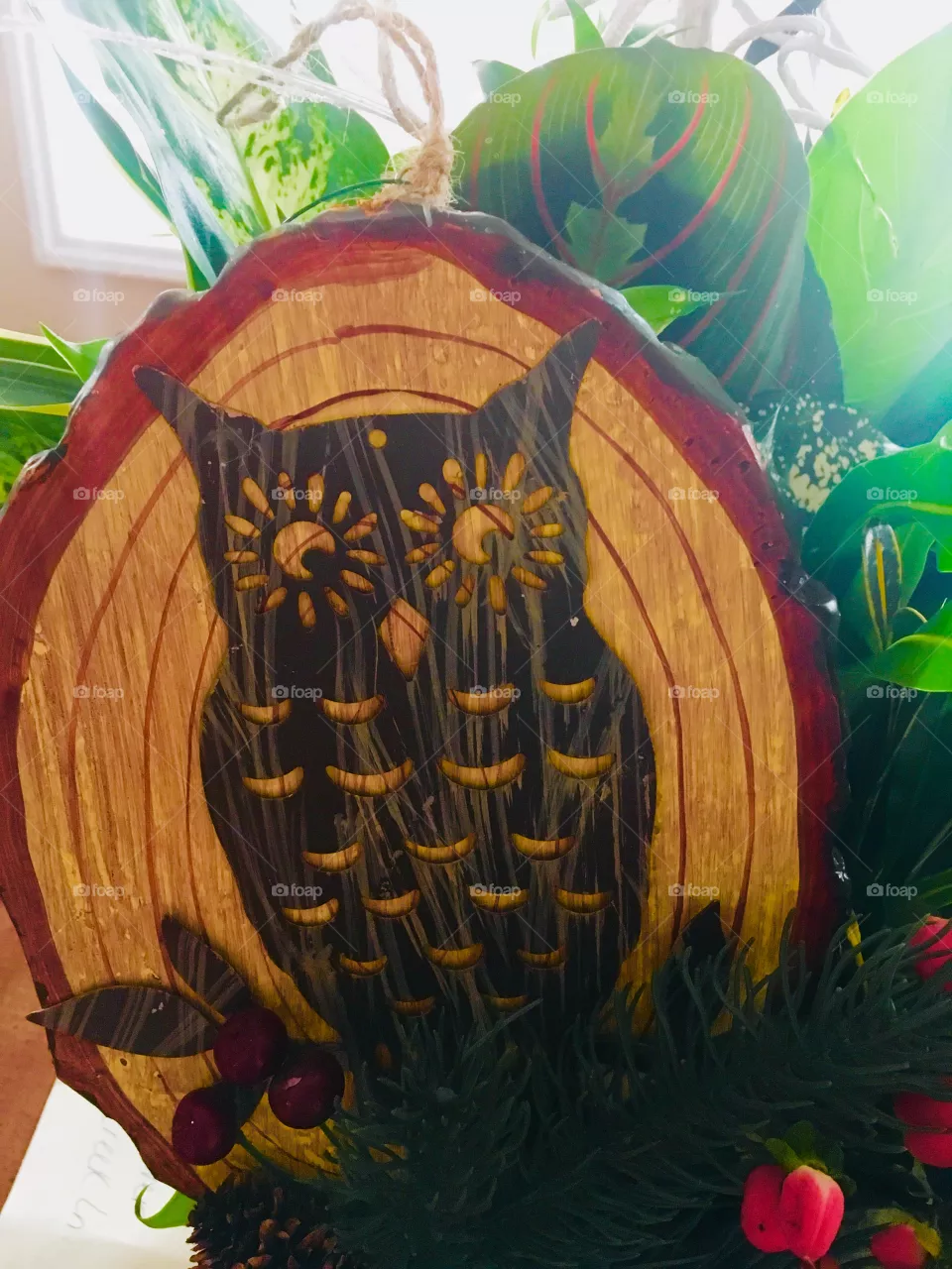 Owl