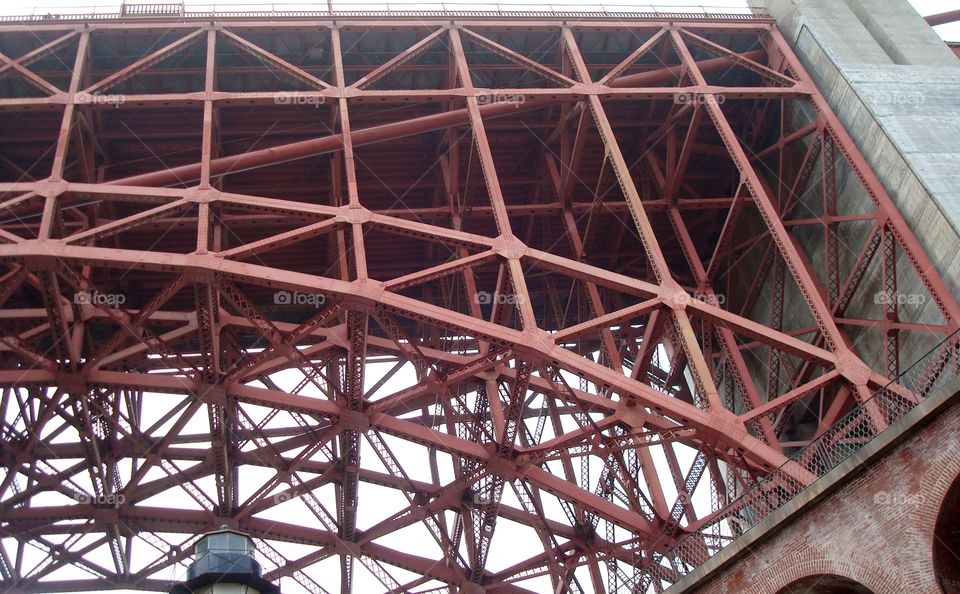 Under the Golden Gate