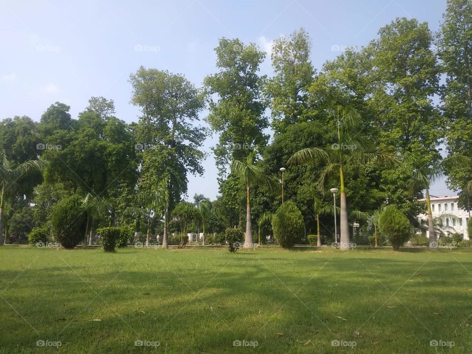 The field with trees and a building in the background looks so peaceful and scenic. It's like a perfect spot for a relaxing day out in nature. π³π‘