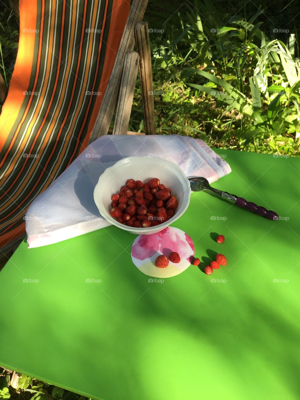 Greedy snack time with wild strawberries from the garden