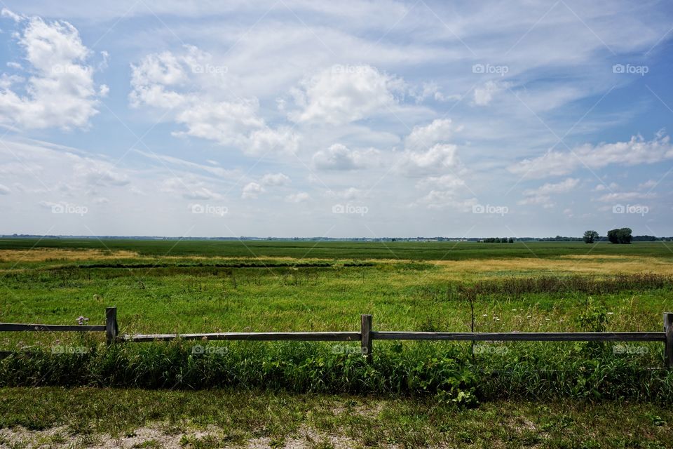 Over view of nature