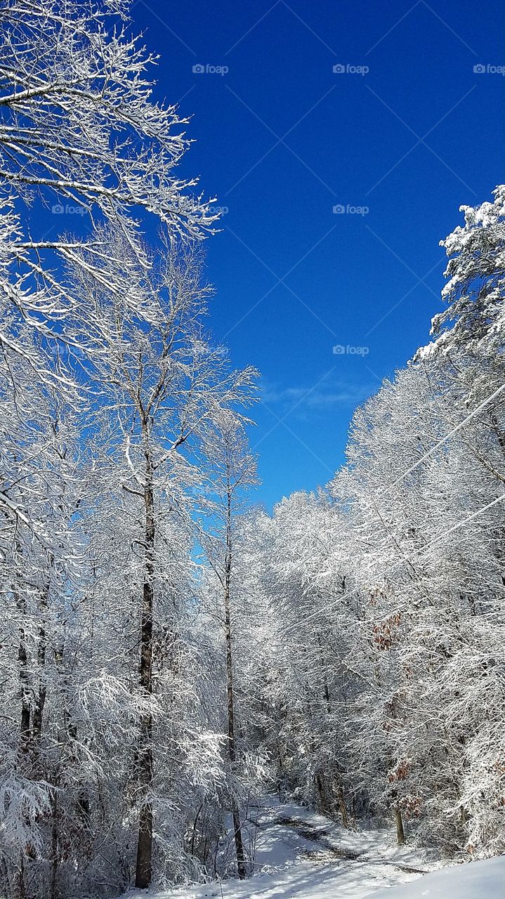 snowy down my driveway