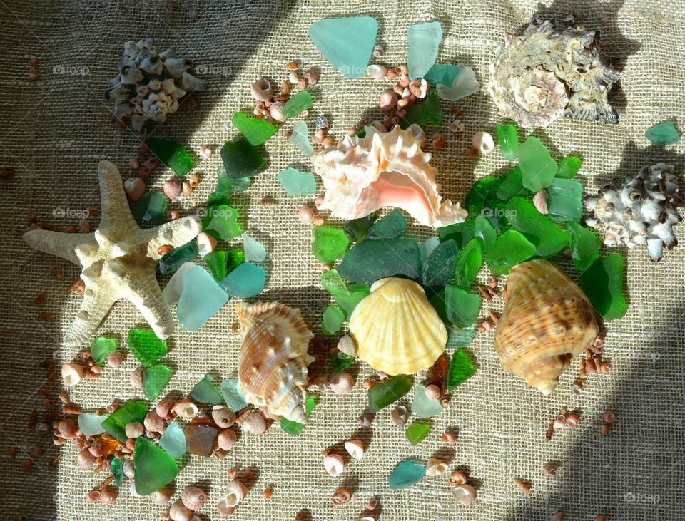 Decoration, Desktop, Pattern, Design, Seashell