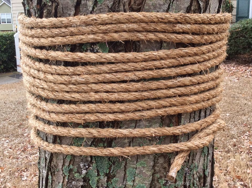 Rope