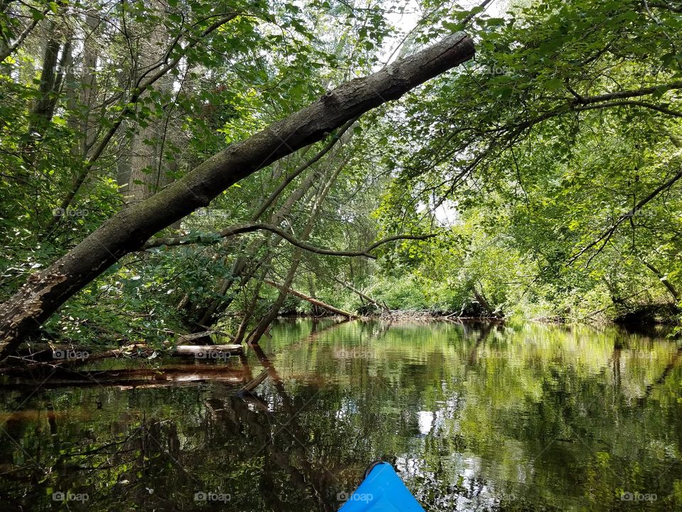 wharton state park, new jersey