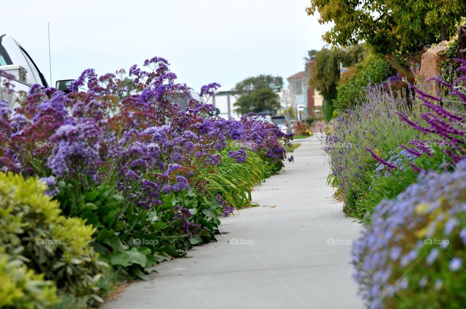 Walking path