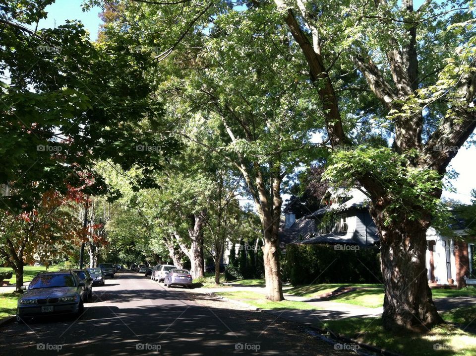 Street in southeast Portland