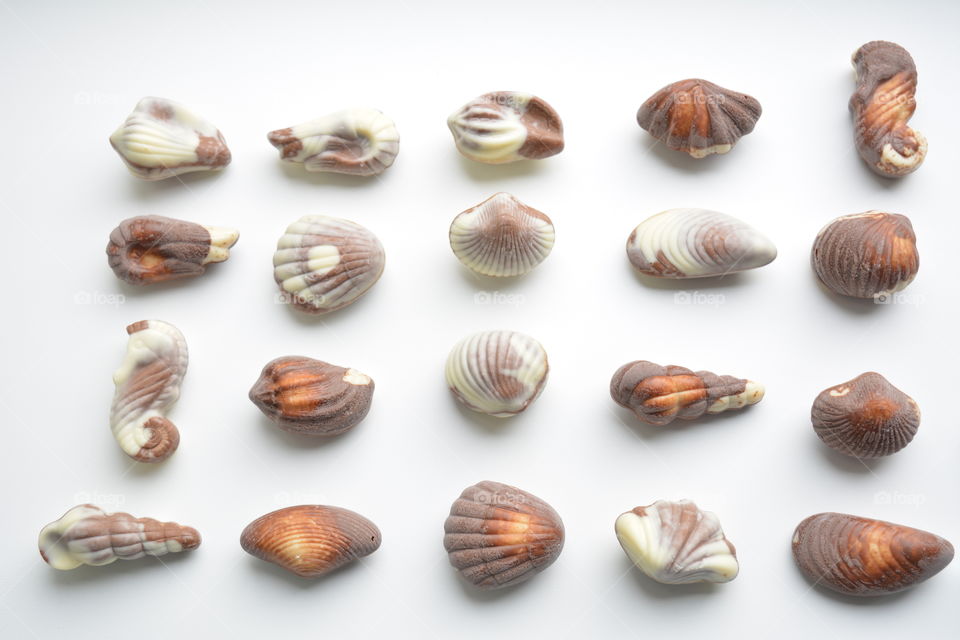 sea shells tasty candy texture on a white background top view