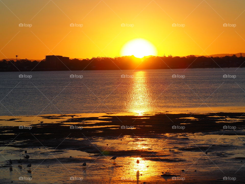 Sunset Moreton Bay Spectacular Orange water glowing 