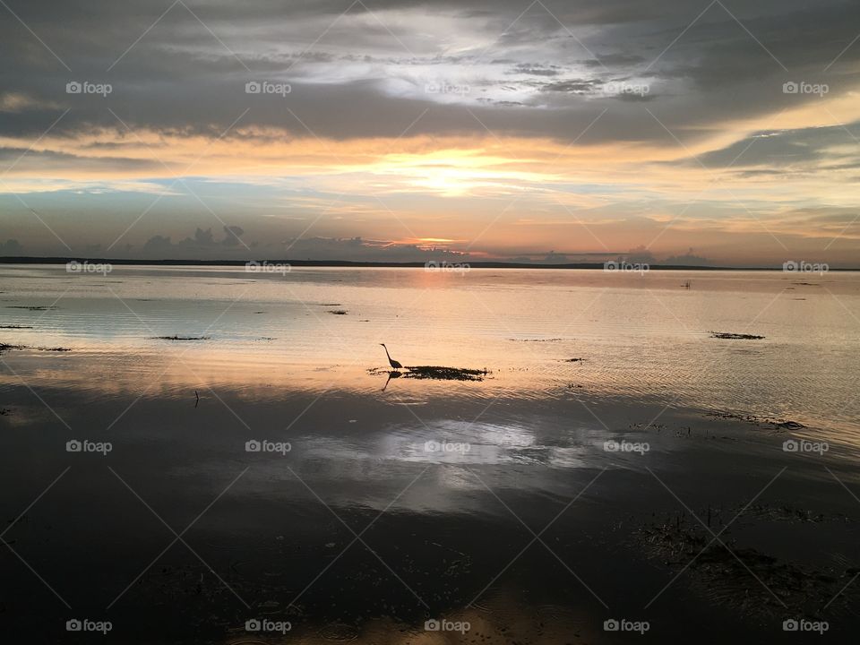 Sunset at Lake Apopka Florida
