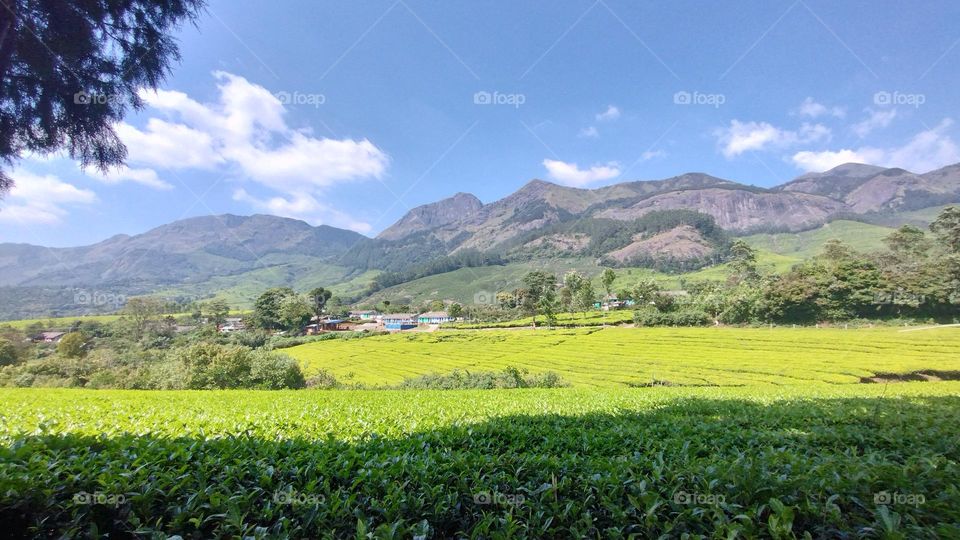 Adopt the pace of nature