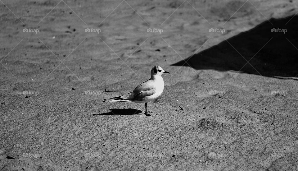 Minimalism near the sea