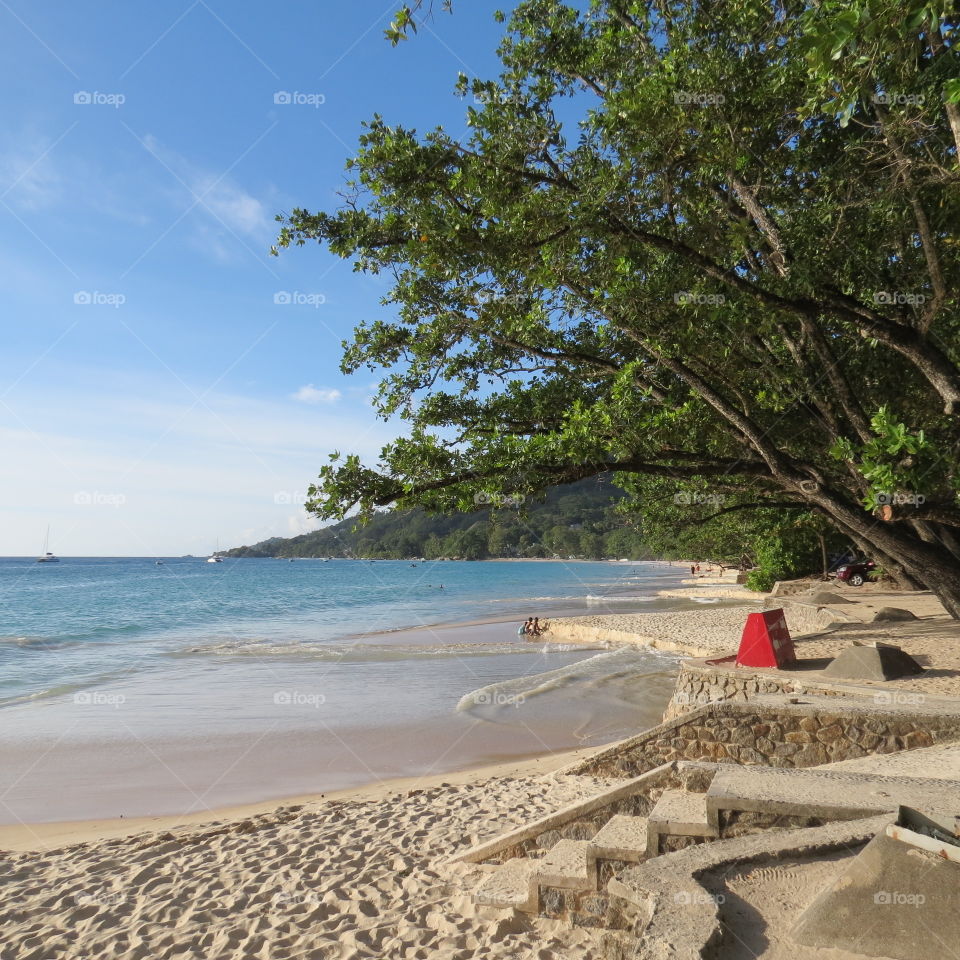 Plage de rêve aux Seychelles 