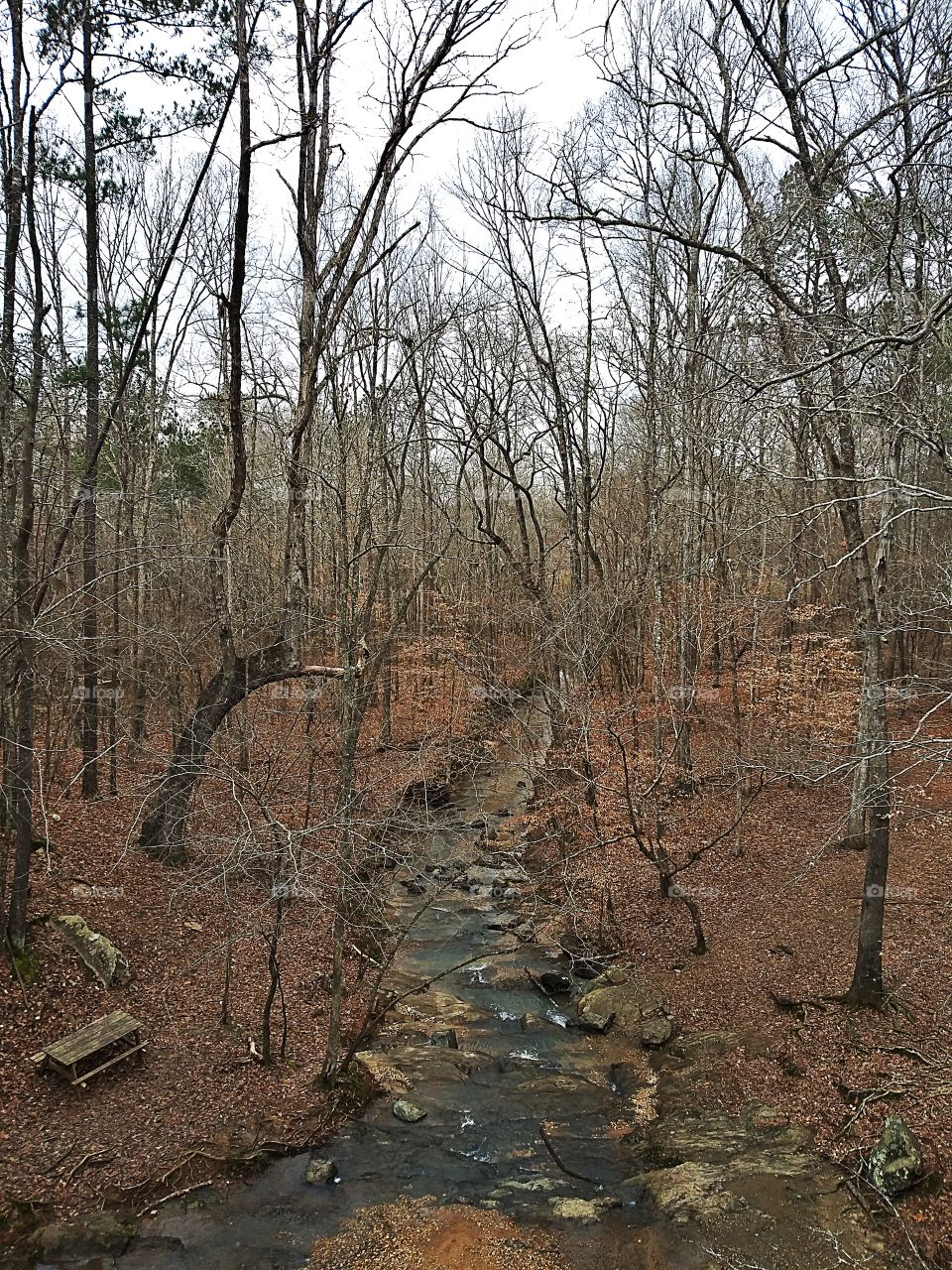 Waterfall In The Woods