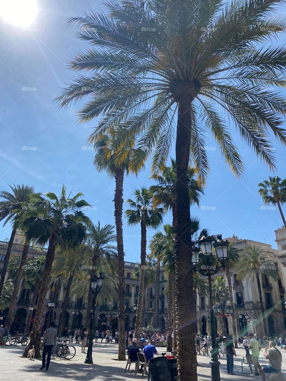 stay in barcelona, ​​spain,m