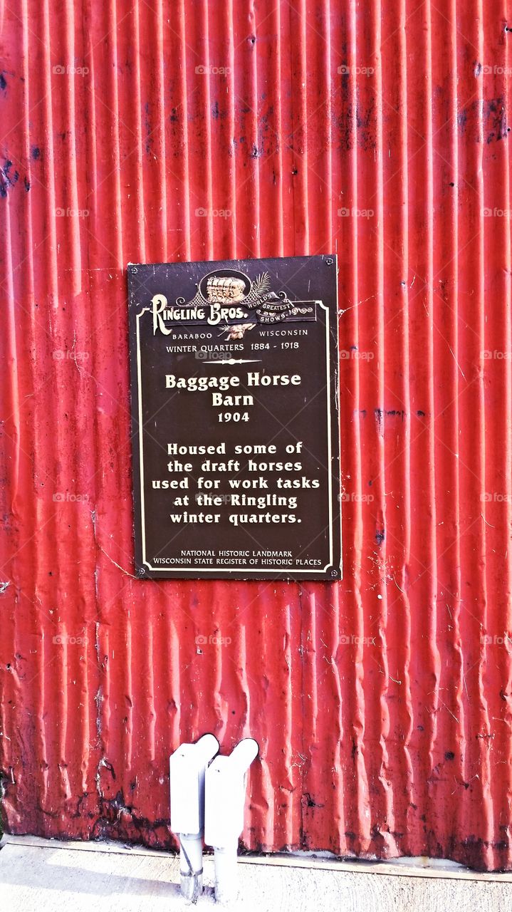Horse barn. Ringling Bros. 