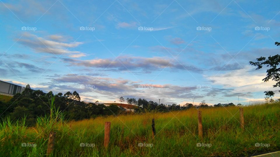 Sky and Grass