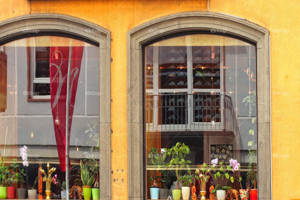 Shop window in the city with lots of colorful flower pots and plants