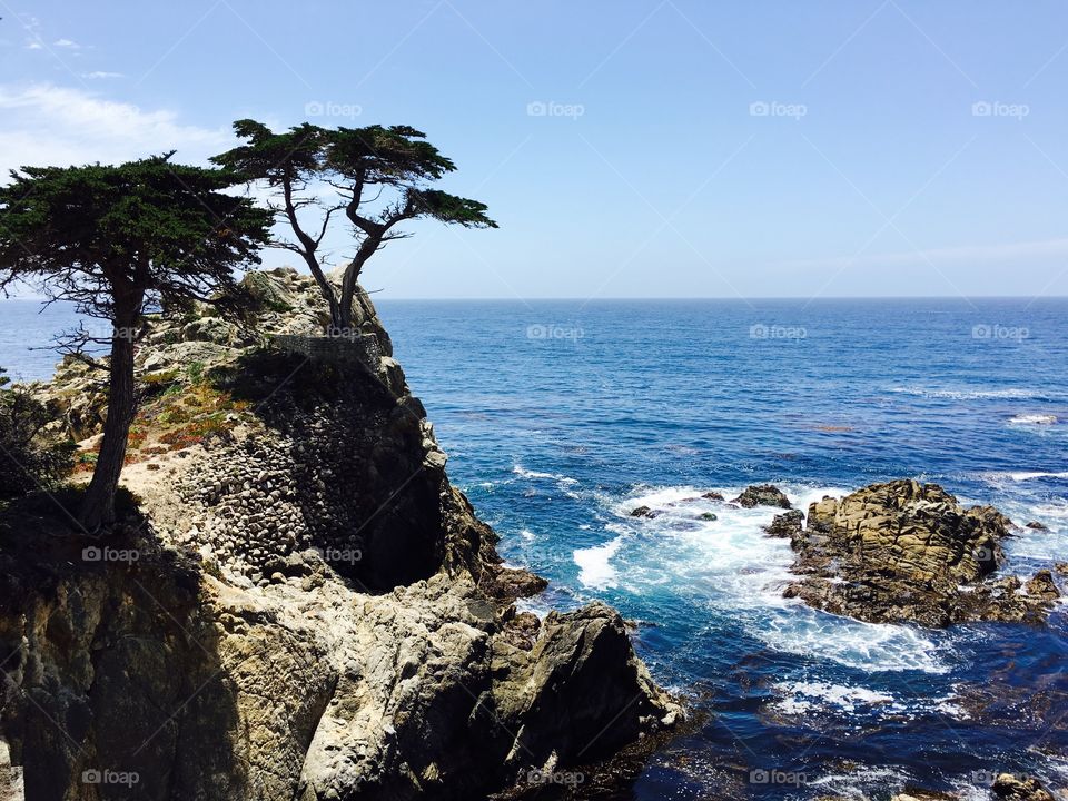 17 mile drive wonder. 
