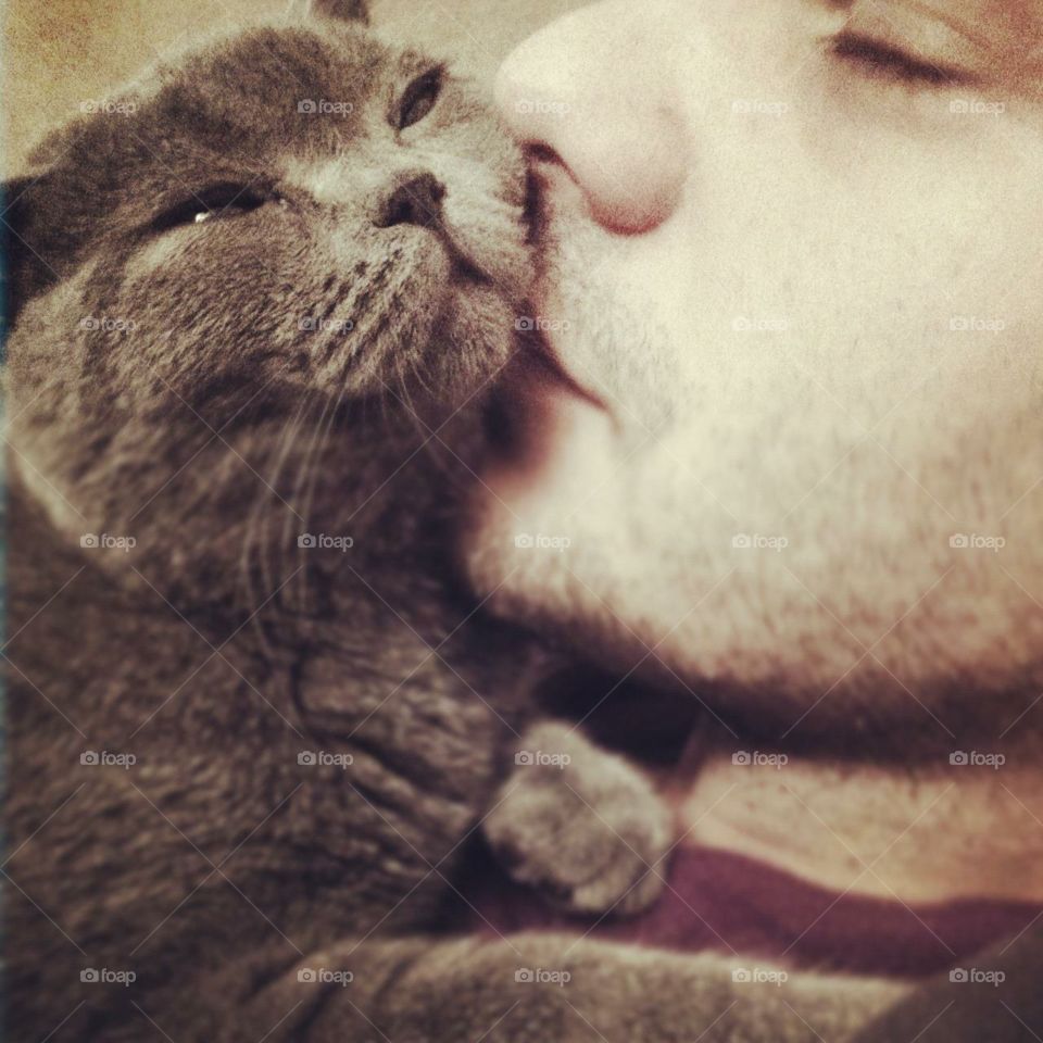 Cat kiss