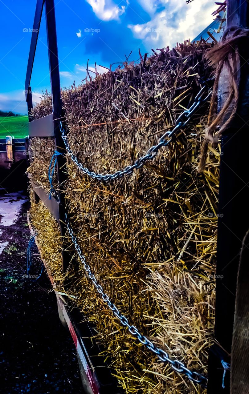 A hay wagon on its way to a barn in order to store the feed for winter. 