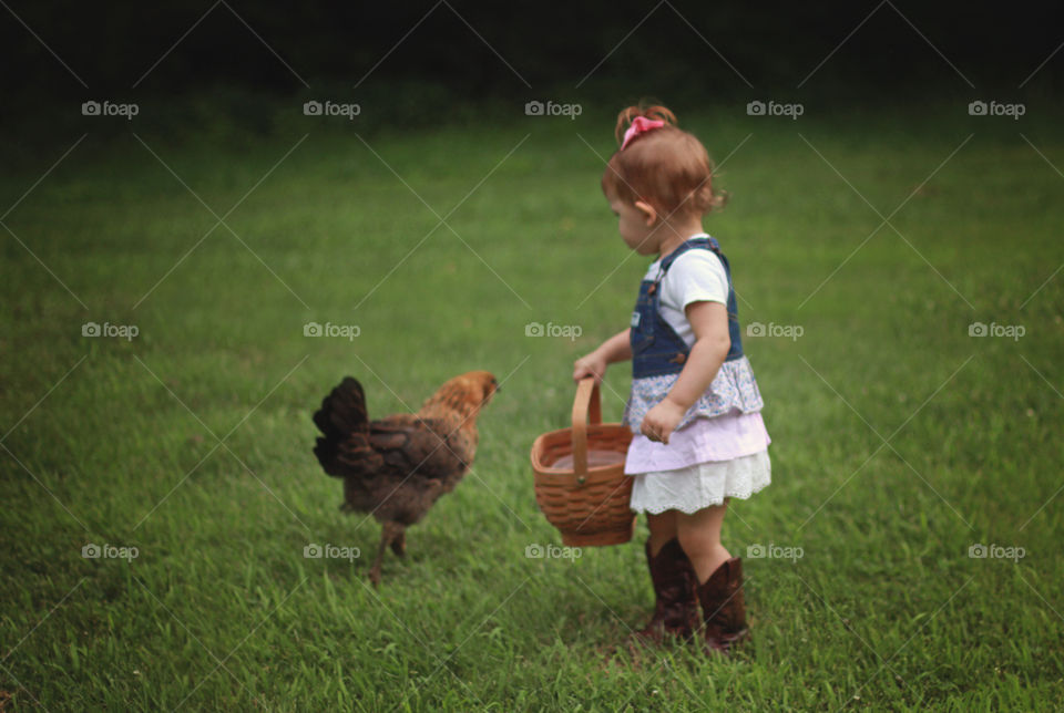 Toddler, Chicken, Country, Dress, Cowboy Boots