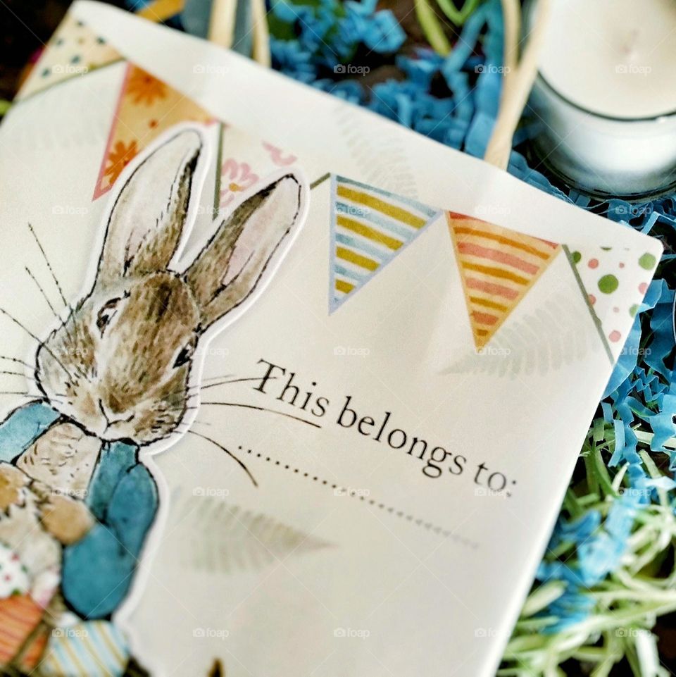 A Gift Bag with Peter Rabbit on the Front