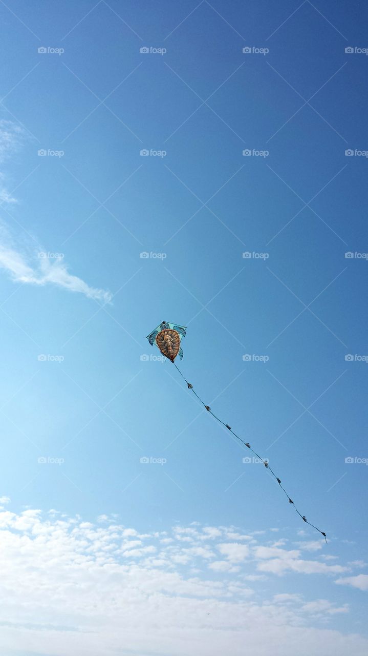 Flying a Turtle Kite