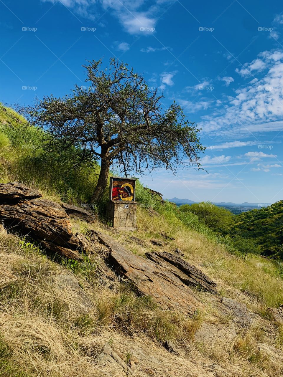 A rock crafter painting on a designed stone under a tree on a mountain. Surrounded by grasses, trees, shrubs and mountains. 