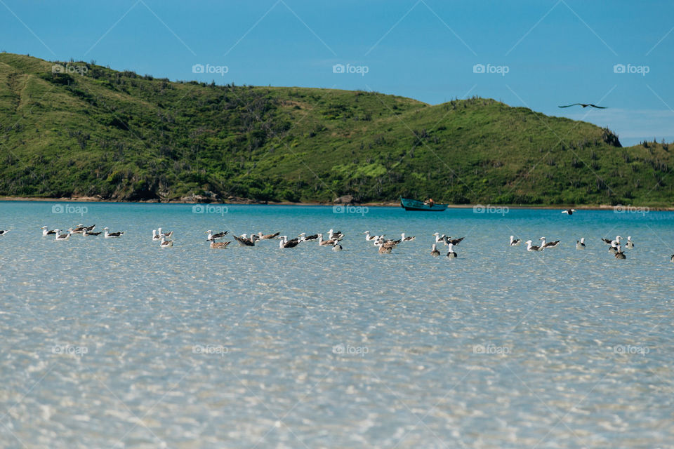 Praia com paisagem linda e fantástica no Brasil, na região do Lagos no Rio de Janeiro, em Búzios. Uma ilha incrível de conhecer!