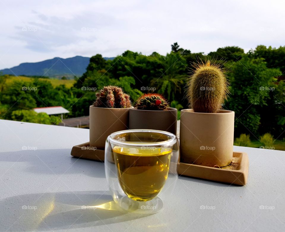 Had a cup of tea with the wonderful view